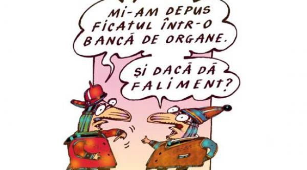 valentin stan ati privit vreodata un dezastru in ochi