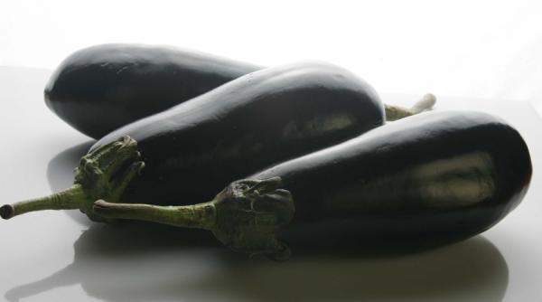 ghicitoare cine i vanata lucioasa si gustoasa