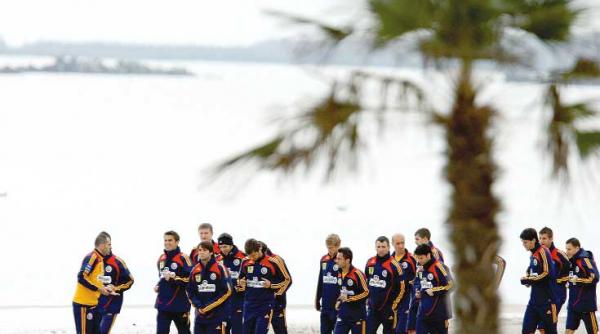 rom acirc nia franta continuitate pentru piti