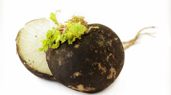 remediu ridiche contra tusei