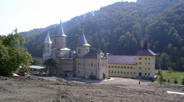 m acirc n acirc stirea nechit la rascruce de zenovii