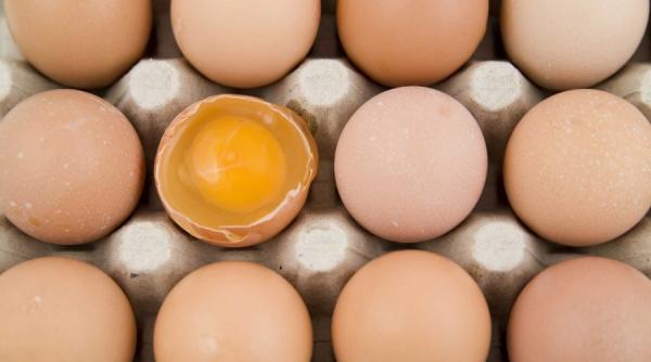 a mancat 9 oua pe zi timp de 9 luni