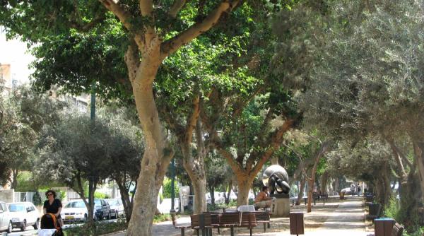 campanie marca jurnalul sa adoptam impreuna cate un parc