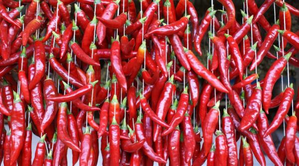 de sezon leac iute pentru raceli