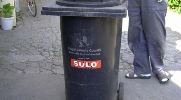 scandal la timis afacerea pubelelor irlandeze