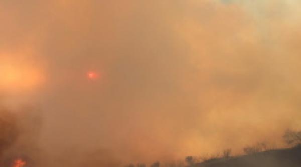 california arnold schwarzenegger decreteaza starea de urgenta