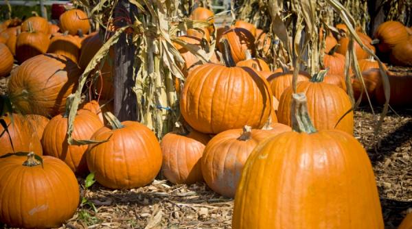 dovleacul previne bolile de inima