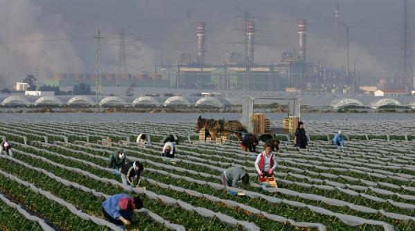 ue respecta protocolul de la kyoto