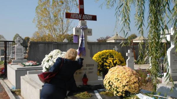 un an fara nicolae dobrin