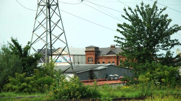 camel ul saracului romania pe traseul tigarilor interzise