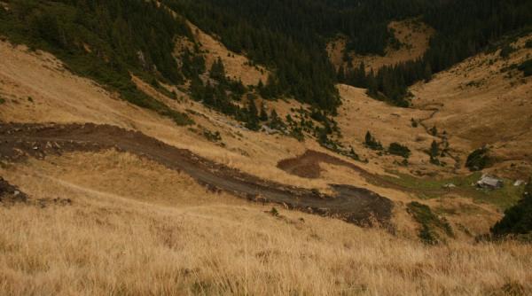 parcul national muntii rodnei se cauta drumarii