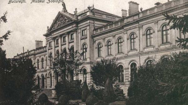 aniversare 100 de ani de muzeologie