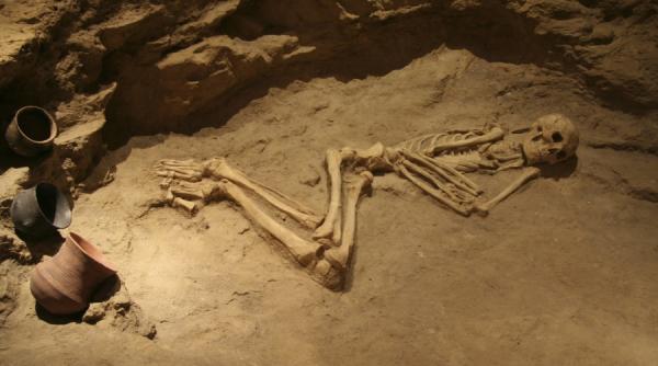 de cand omul si tbc ul