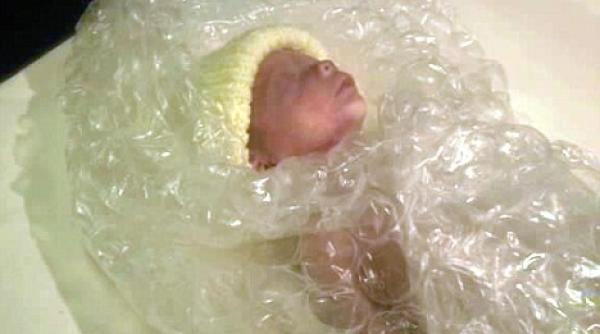 5 luni 3 saptamani si doua zile gregor un supravietuitor