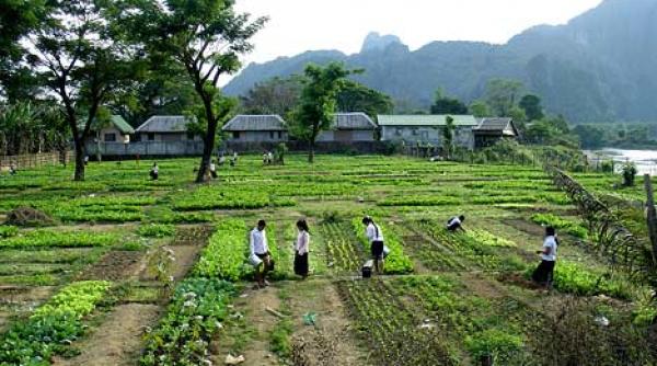 apleaca te tovaras icirc n rusia renaste traditia sovietica a muncii patriotice