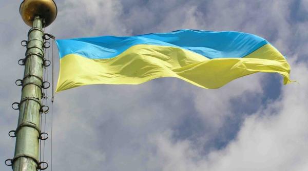 marfa ieftina ucraina scoasa la licitatie pe internet