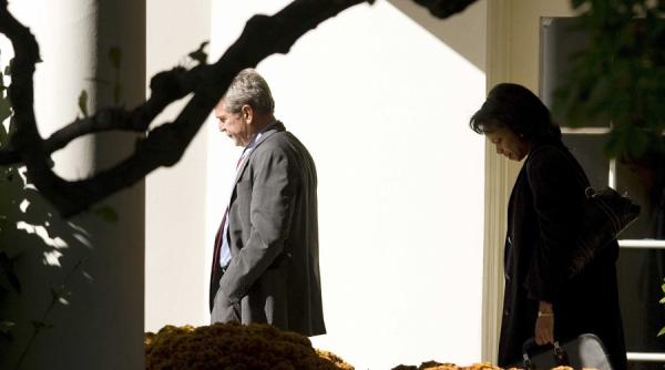 bush invizibil in fine