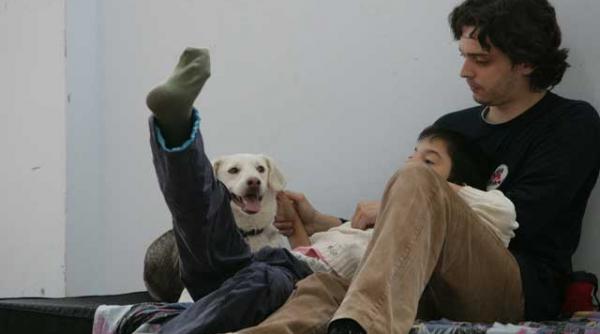 daruirea unor caini vagabonzi