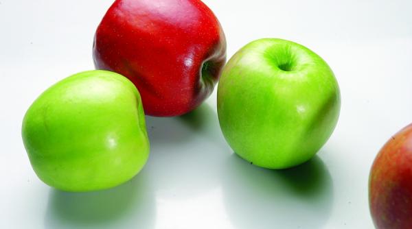 interpoma 2008 targ pentru fructul paradisului