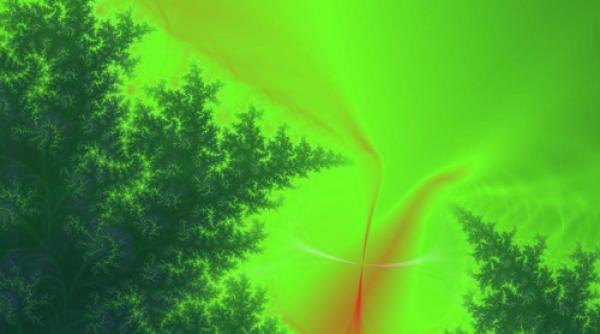 serviciul funerar direct in rai i