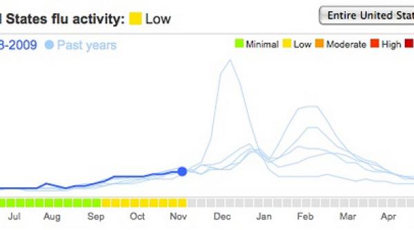 google pe urmele gripatilor