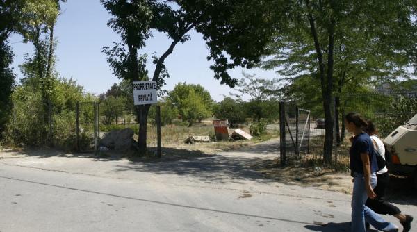 parcul plumbuita a fost salvat