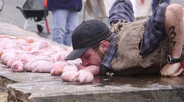 asta da curaj icirc ntrecere cu testicule de taur intre dinti