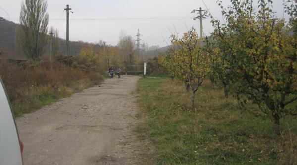 pomicola buzau institute de cercetare fara obiectul muncii