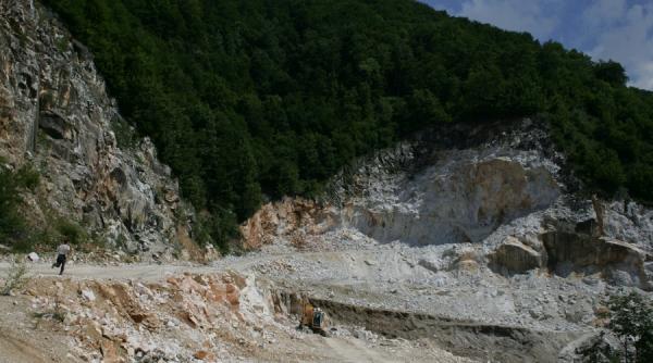 nici un deputat suta la suta verde