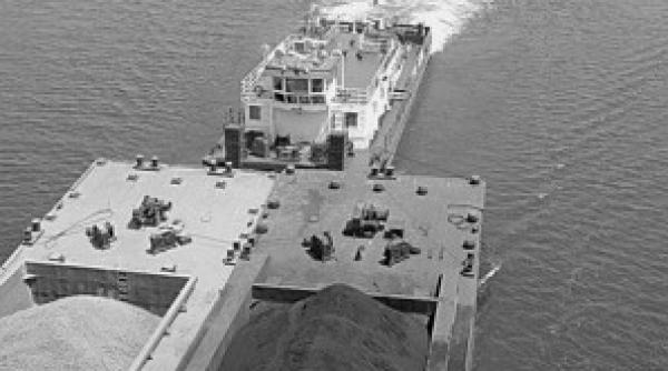 florin carligea dosarul linz sta pe un butoi cu pulbere cazul teo peter nu trebuie lasat sa se mai produca in romania