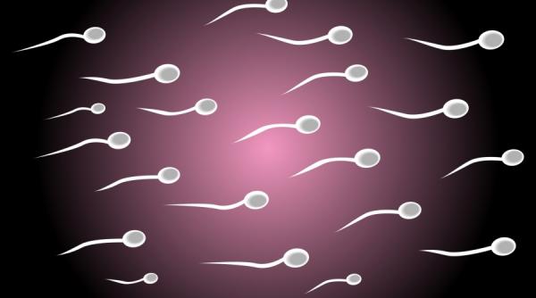 avertisment fertilitatea masculina in cadere libera