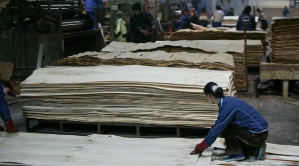 disponibilizari drame umane si statistici sterpe