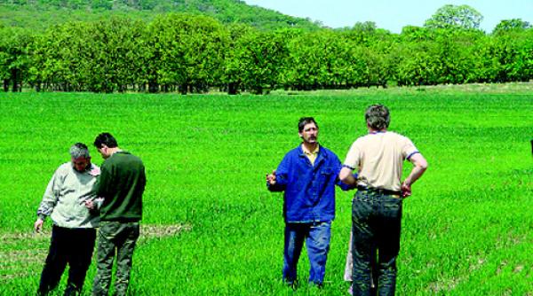 muntii macinului danezii dau bani pentru eco