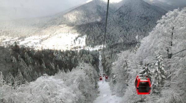 azuga il primeste pe alberto tomba