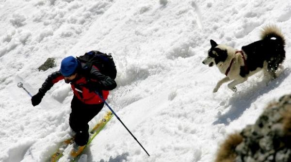 concursuri de traditie organizate in romania