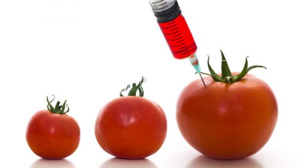 tehnologii alimente din laborator