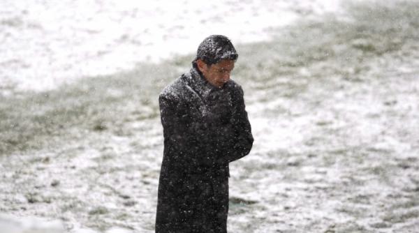 razvan lucescu sa votez mai bine ma ascund in padure