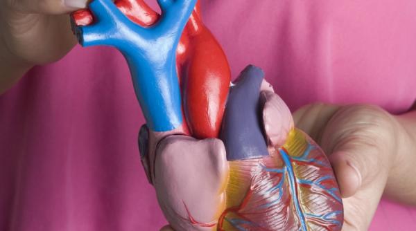 descoperire o noua terapie pentru insuficienta cardiaca