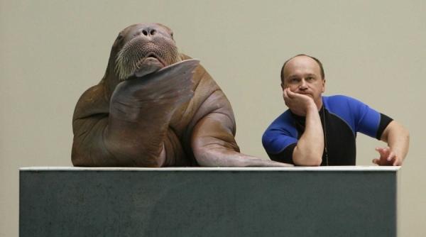 sara o tona de gratie