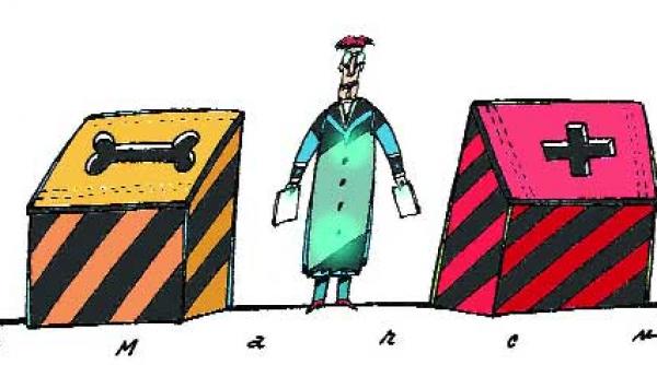 de ce am votat cu pnl