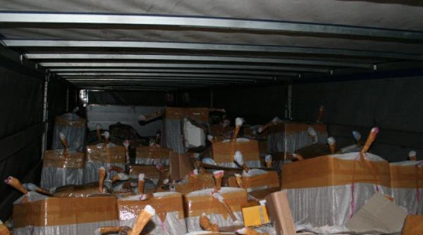 parfumuri contrafacute cu miros turcesc