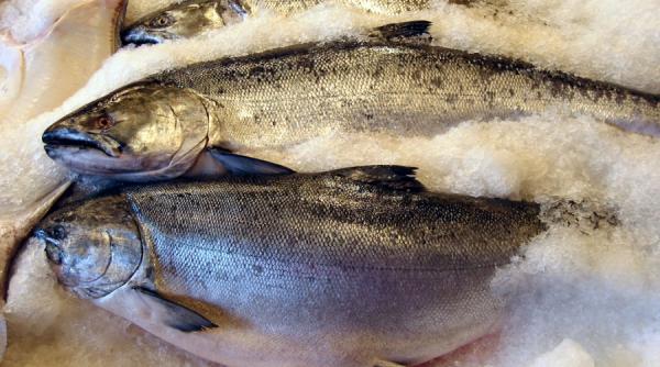 mananca inteligent somon