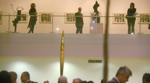 avanpremiera brancusi acasa