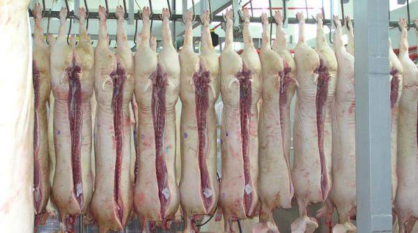 fabrica petroliera vinovata de contaminarea cu dioxina a carnii