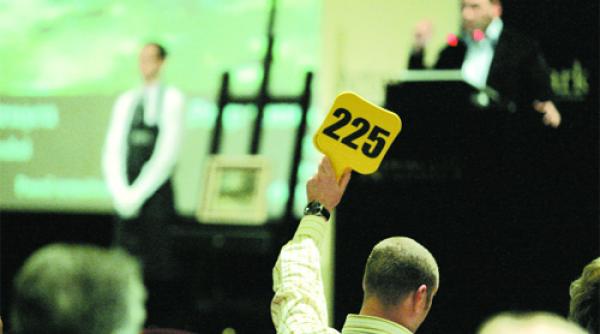 licitatie o scumpete de fata in roz