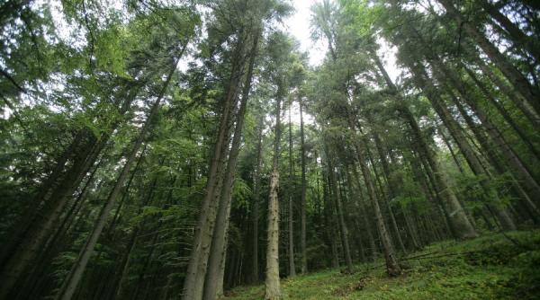 protectia naturii reteaua natura 2000 extinsa cu 769 de situri