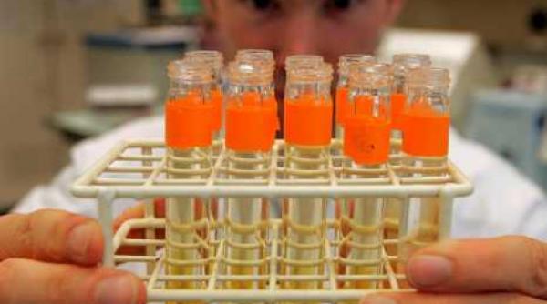 revolutie in medicina inima care a suferit un infarct si care se repara singura