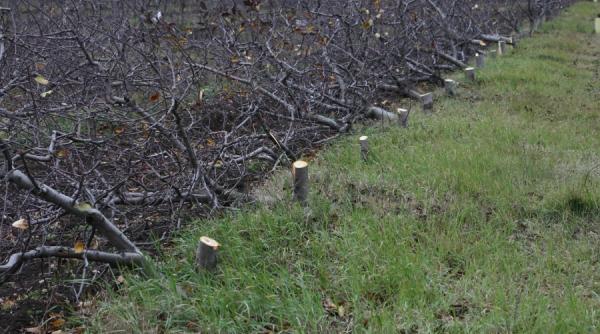 ancheta icirc n derulare jaful din baneasa se cauta vinovatii