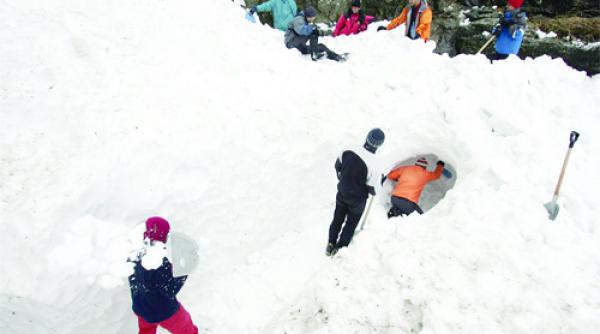 cosmar in bucegi 26 de zile de comedie neagra