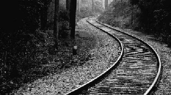 de la barca la viena si inapoi xxxiv